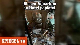 Riesen-Aquarium geplatzt - So wurde der Aquadom gebaut | SPIEGEL TV