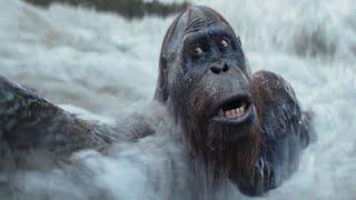 Kingdom of the Planet of the Apes Raka Sacrifice Death Scene!