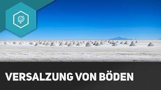 Versalzung von Böden - Bodendegradation 2