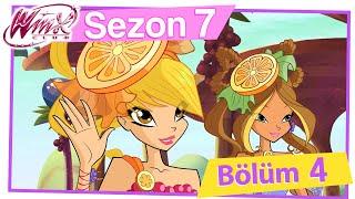 Winx Club - 7. Sezon 4. Bölüm - Evrenin İlk Rengi [TAM BÖLÜM]