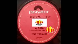 Trio Ternura - A Gira