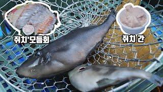 쥐치를 더 쥐치답게 먹어보자!(쥐치간)/Let's eat the fishfish more like a fishfish!(Filefish liver)/seefood