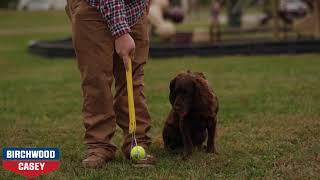 WagOne™ Ultimate Ball Thrower by Birchwood Casey®