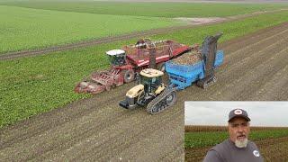 Michigan Sugar Beet Harvest near Ruth