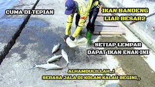 VIRAL JALA IKAN BANDENG DI SUNGAI BESAR SERASA DI KOLAM PRIBADI