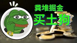 怎麽買土狗？2023教程。怎麽找優質土狗？土狗有哪些坑？ #土狗幣 #土狗