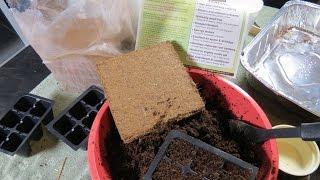 How to Prepare 250 gram Bricks of Coco Coir for Seed Starting: Inexpensive & Effective - TRG 2015