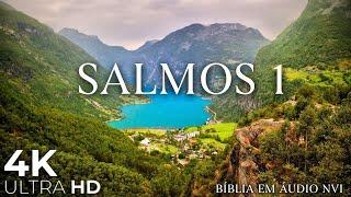 Bíblia Falada em 4K • Salmos 1 • Bíblia Falada NVI Com Música Relaxante e Natureza • Vídeo Ultra HD