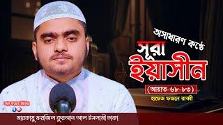 হৃদয় প্রশমিত কন্ঠে তিলাওয়াত || Hafez Fazle Rabbi || মারকাযু ফয়জিল কুরআন