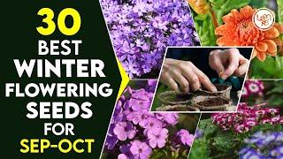 Top 30 Winter Flower Seeds to Plant in September-October in India | Best Flowering Plant for winter