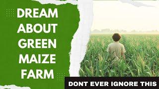 Dream about Green Maize Farm Meaning (Green farm, corn field, corn dream)