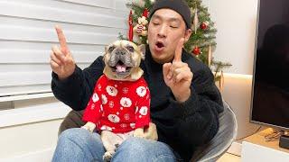 French Bulldog Sings Christmas Duet With Owner