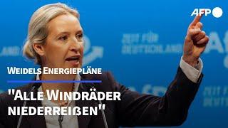 Weidel bei AfD-Parteitag: "Werden alle Windräder niederreißen" | AFP