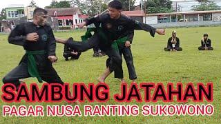 SAMBUNG JATAHAN PAGAR NUSA@pagarnusarantingsukowono