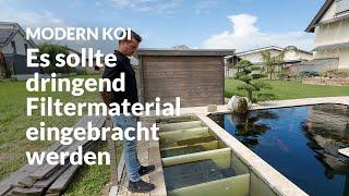 Eine Wasseranalyse an Bennis Teich | Modern Koi Blog #7237