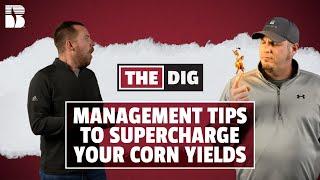 Management Tips To Supercharge Your Corn Yields! | The Dig