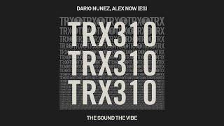 Dario Nunez, Alex Now (ES) - The Sound The Vibe [Tech House]