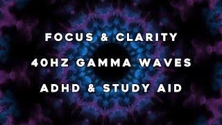 Pure 40Hz Gamma Brain Waves | Binaural Beats & White Noise for Study, ADHD & Mind Clarity