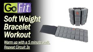 GoFit Soft Weight Bracelet Circuit