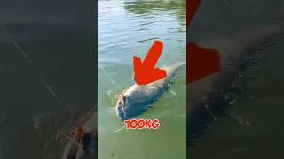 Pemancing Yang Nekat Umpan Cacing Dapat Ikan Monster #shortsfeed #kontenmancing  #fishing