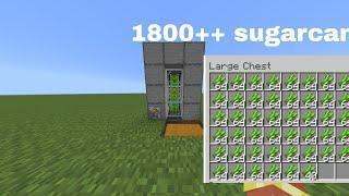 How to make sugarcane farm in minecraft pe 1.21 ||