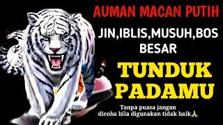 ILMU PENUNDUK SEMUA BANGSA JIN,MANUSIA