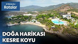 İzmir'in Gizli Cenneti Kesre Koyu | Ayrıcalıklı Rotalar