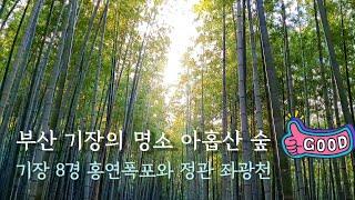 Busan Guide/Korea/부산 기장의 명소 아홉산 숲과 홍연폭포 그리고 정관 신도시