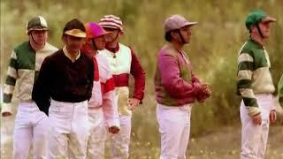 Big Train - Jockeys (Short nature documentary)