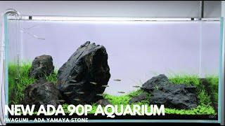 New ADA 90P Aquarium using Yamaya Stone