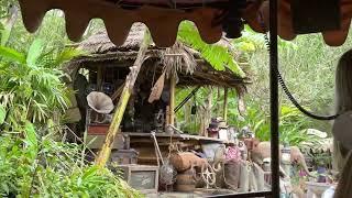 Jingle Cruise #3