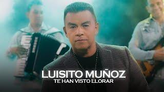 Te Han Visto Llorar - Luisito Muñoz  | Video Oficial