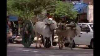 Planet Food Southern India Travel Documentary