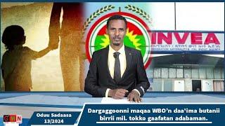 GMN: Oduu Sadaasa 13/2024.