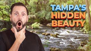 Top Reasons You Should Move to Tampa Bay Florida | Part 3