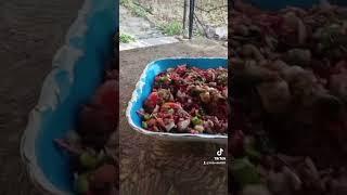88 - это количество переходящие в знак качества. Человек создан из этого количества Творцом.