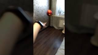 как нужно украшать елку 