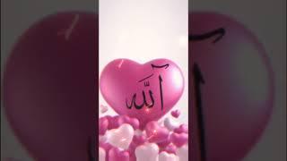 We love Allah#islamic #viral