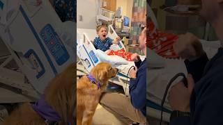 My therapy dogs visit the Children's Hospital 