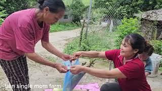 Full Video 30 days - building a kitchen, toilet - taking care of children