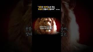 짐론 명언  성공은 일상적으로 하는 단순한 것들의 합입니다