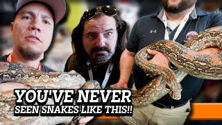 What REALLY HAPPENED at the Tinley Park Reptile Show 2024 with @davkaufmansreptileadventures