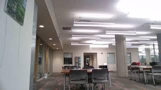 Write Along: UofL Writing and Research Group