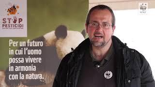 Raniero Maggini   Presidente WWF Roma e Area Metropolitana