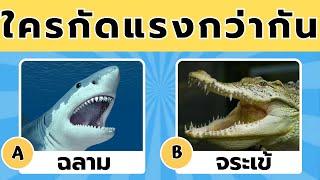  คุณรู้จักสัตว์ดีแค่ไหน?  เกมความรู้ทั่วไปเกี่ยวกับสัตว์