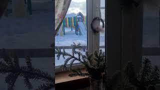 Гостевой дом Маруся. Семейный дом. #отдых