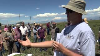 San Luis Valley  Soil Health Tour Aug 2014 - Brandon Rockey