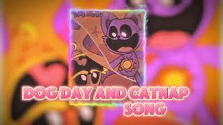 dog day and catnap song