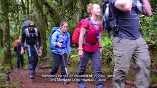 How to Climb Mount Kilimanjaro Marangu Route Step by Step with Kilimanjaro Brothers