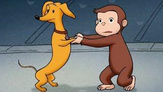 George and Hundley  Cutest Moments Together  Funny Cartoon For Kids